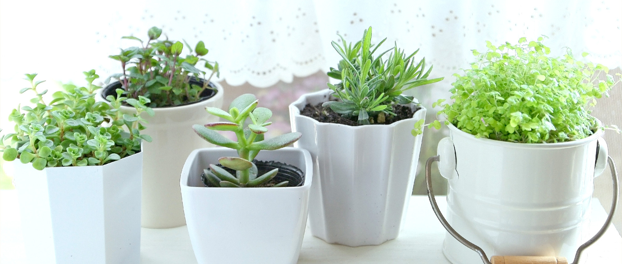 可児市帷子新町、西可児駅、内科・外科・小児科